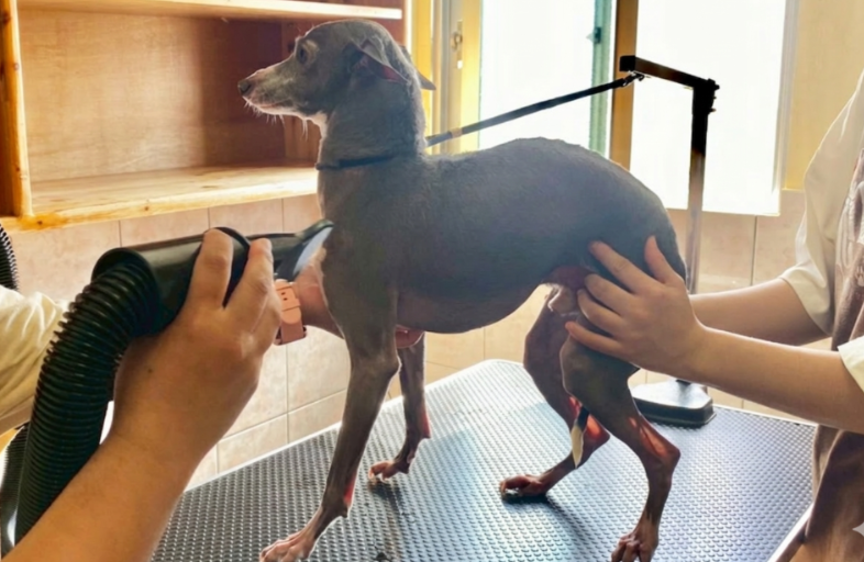 仕事|就労継続支援B型事業所LINO