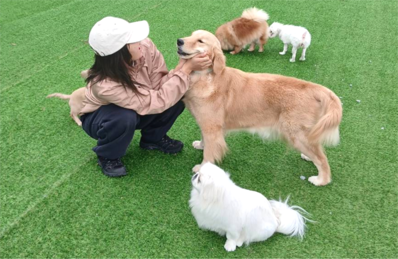 こんな方におすすめ|就労継続支援B型事業所LINO